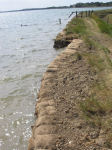 Wall