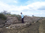 Wall